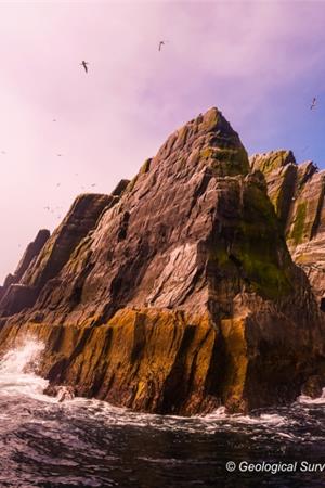 2020 Du Noyer Photo Competition winner Anthony Kelly