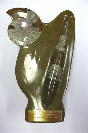 Geological Survey Ireland BTYSE Award 2019