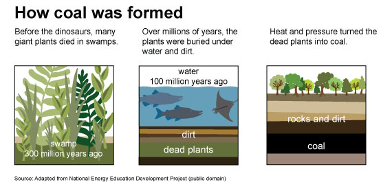 fossil fuels formation